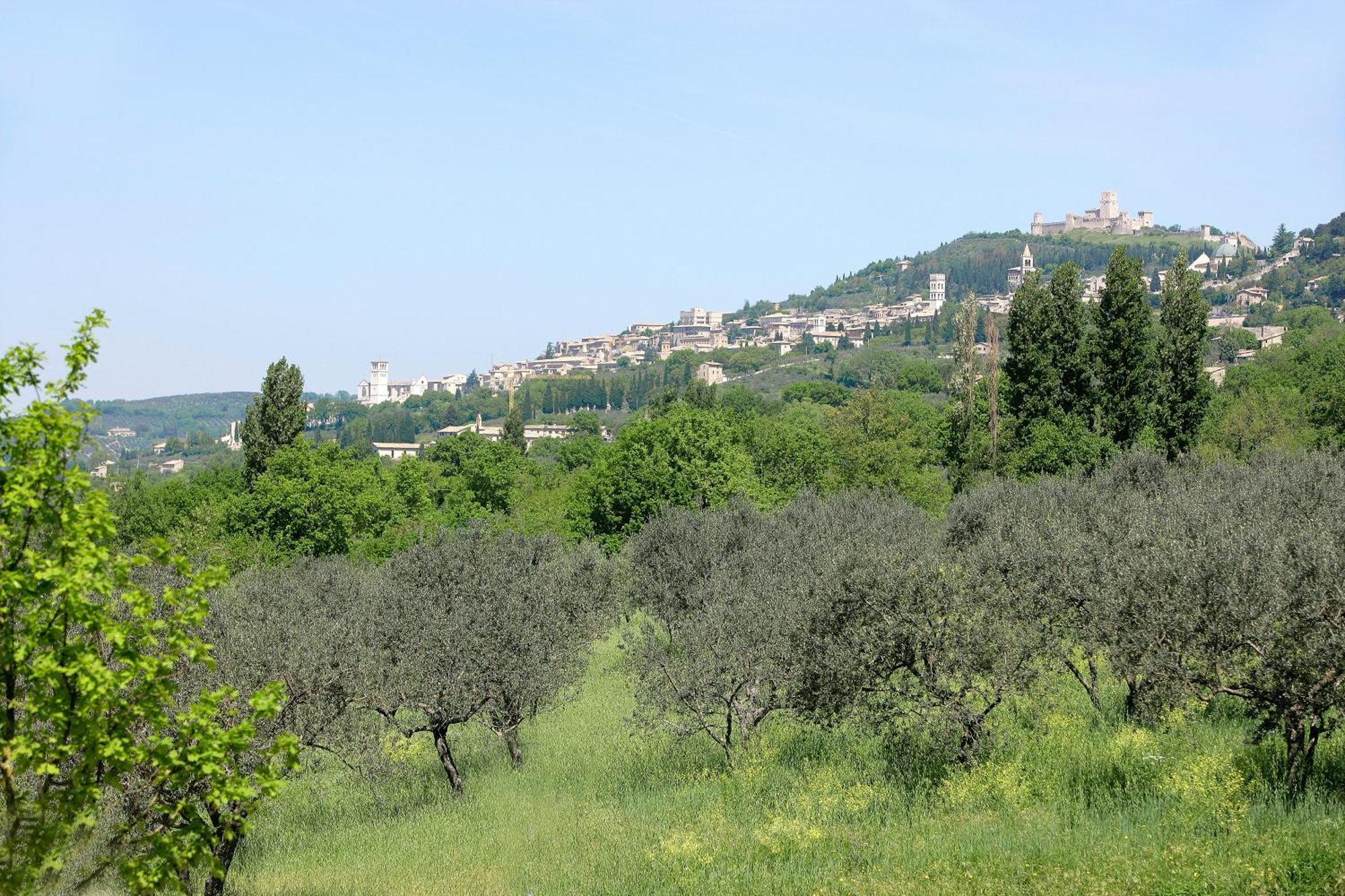 Country House Poggio Fiorito Assisi Dış mekan fotoğraf